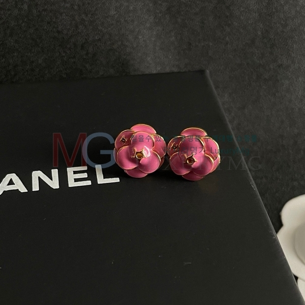  Ͱ G12251666