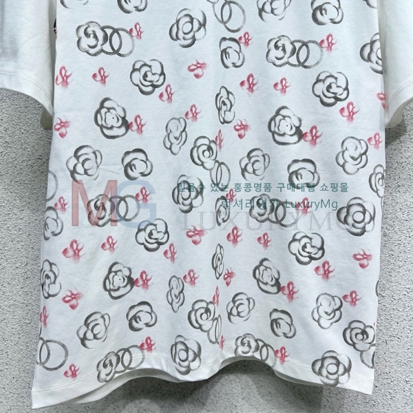  *  Ƽ CHY43257-10