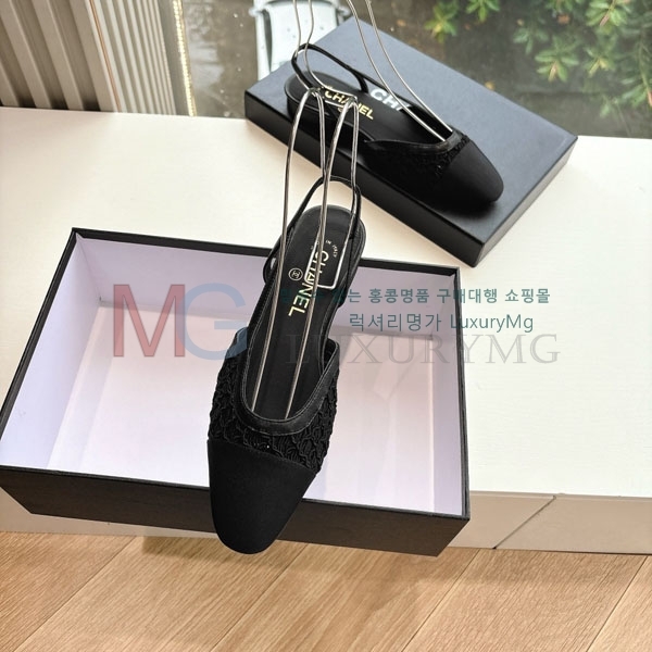 * ÷  MZ650036-1