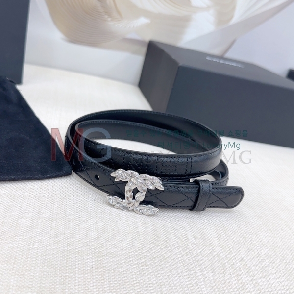   Ʈ  2cm CH371313-1