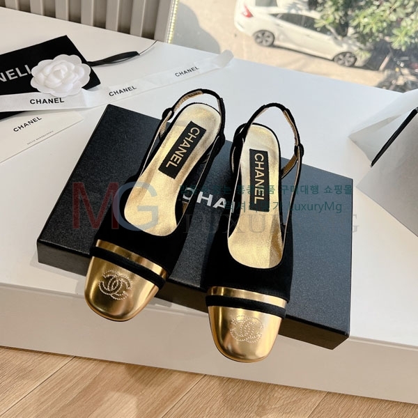  *   AK5506221