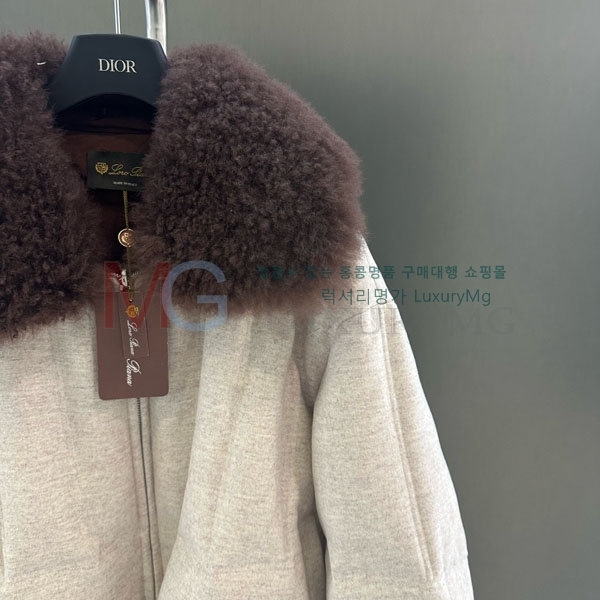 ���� �η�**�� �ٿ� �е� LP434064-1