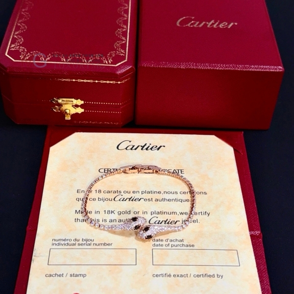 �������� ��쿡 ���� CAR45047-12