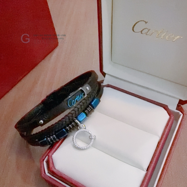 �������� ��쿡 ���� CAR45047-17