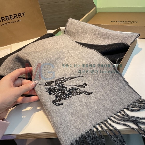 ������ ���÷�/��ī�� BR162888-3