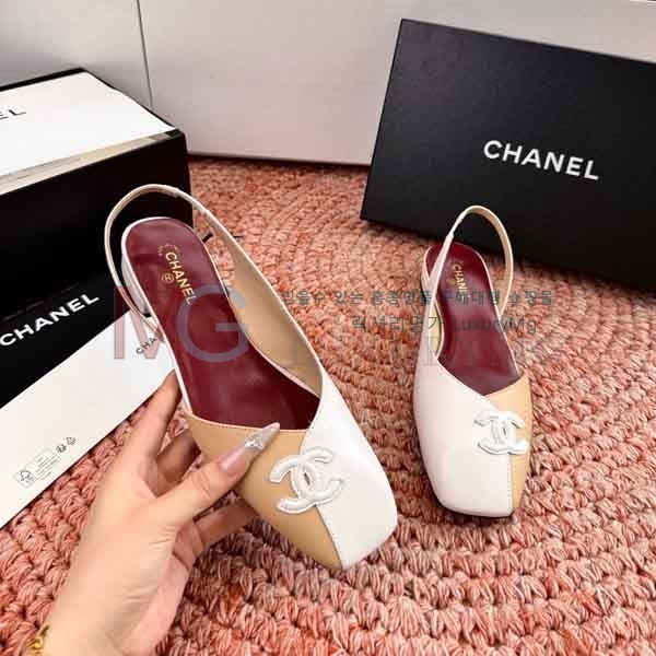 ��* ���� ���� A580902