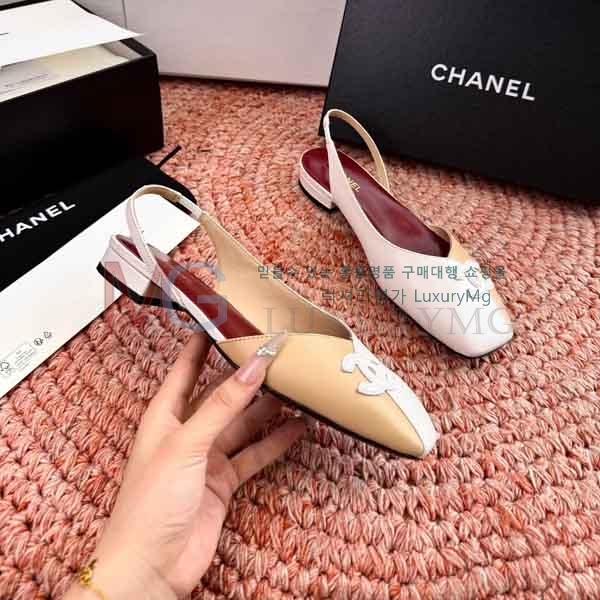 ��* ���� ���� A580902