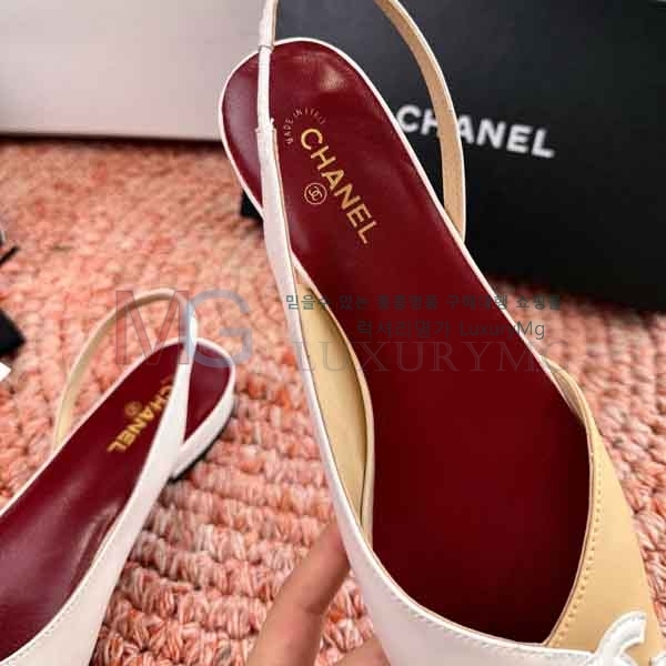 ��* ���� ���� A580902