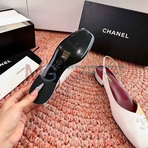 ��* ���� ���� A580902