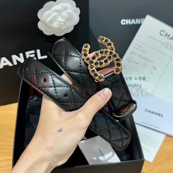 ���� ��* ��Ʈ CH15842-2 ��3cm