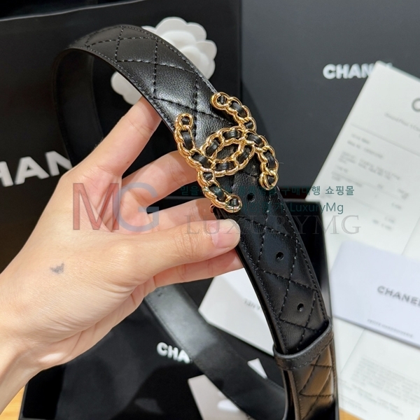 ���� ��* ��Ʈ CH15842-2 ��3cm