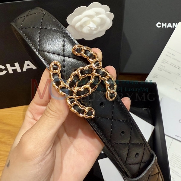 ���� ��* ��Ʈ CH15842-2 ��3cm