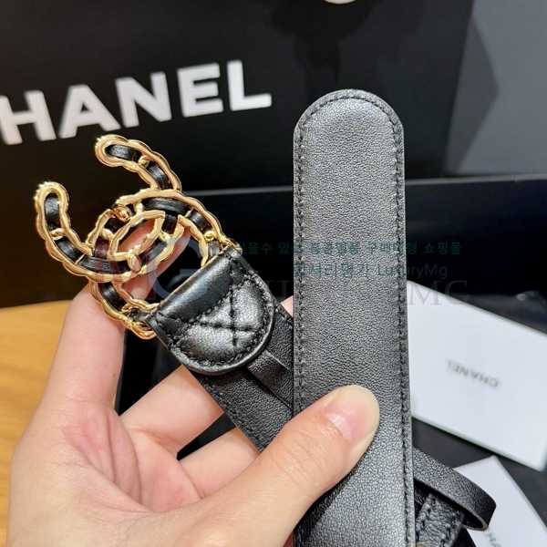 ���� ��* ��Ʈ CH15842-2 ��3cm